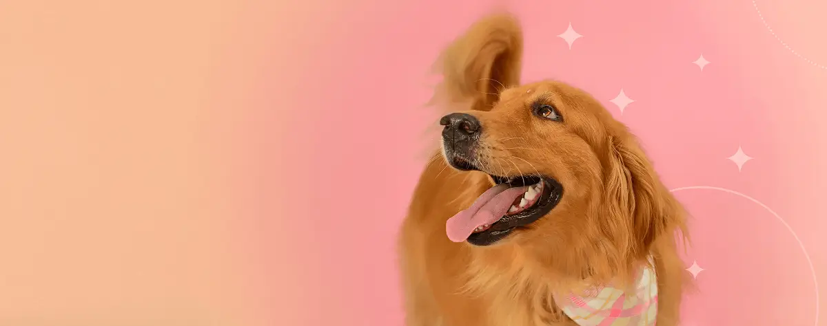 Stormy diva